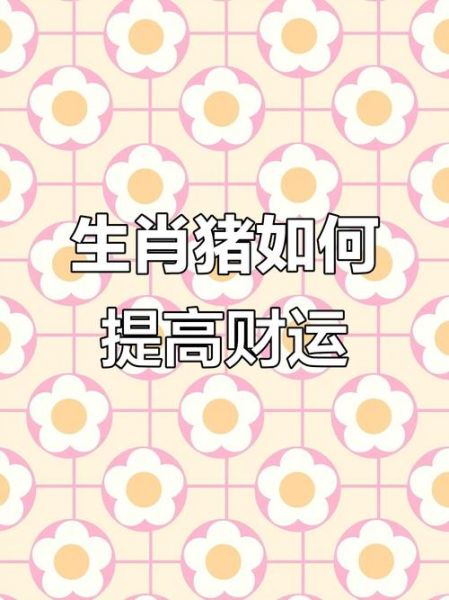 属猪2018财运如何_属猪2018年怎么提升财运