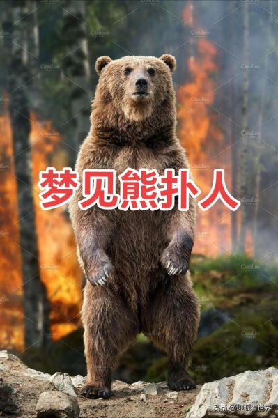 梦到抓黑熊是什么意思_梦见抓黑熊预示什么