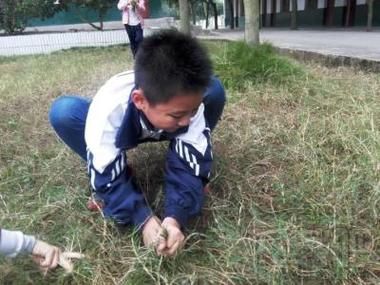 孕妇梦到拔草是什么意思_孕妇梦见拔草预示生男生女