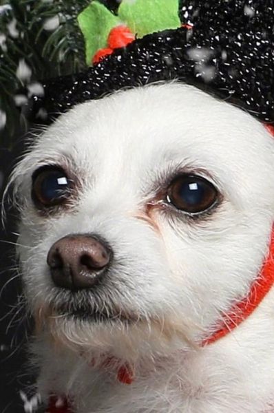 梦到偷窥我_意味着什么