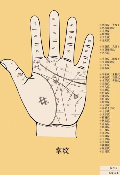 男人偏财运手相怎么看_哪几种掌纹最招财
