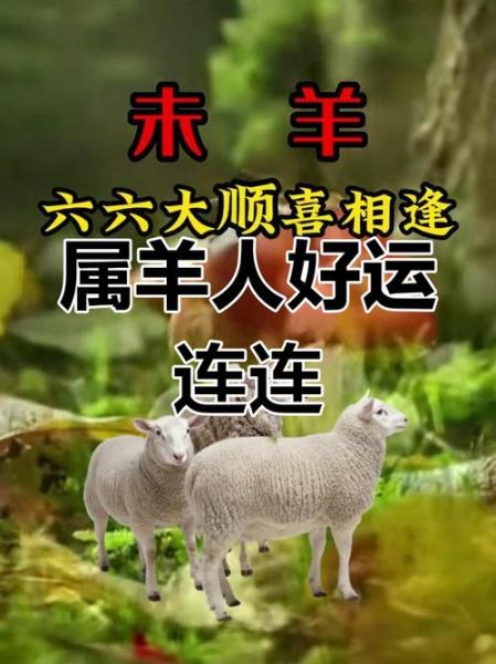 2017属羊6月运势_属羊人六月财运如何