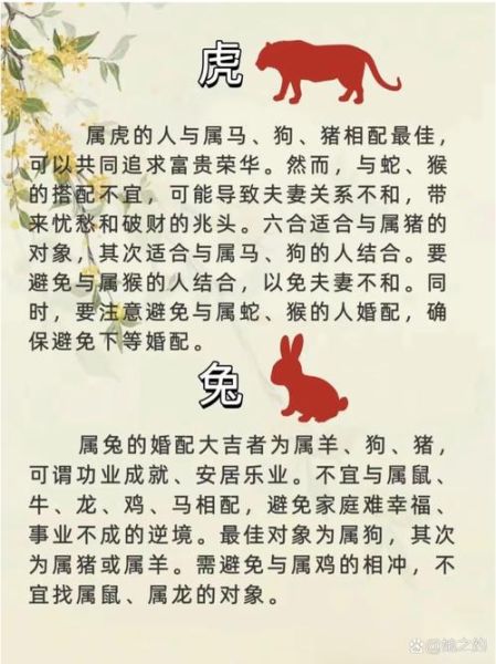 属鼠和属狗的婚姻怎么样_属鼠与狗属相配吗