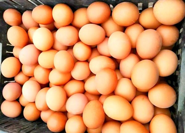 梦到淹鸡蛋是什么意思_梦到淹鸡蛋预示什么