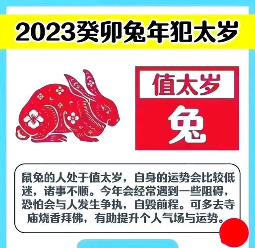 属马2023年运势如何_属马2023年犯太岁吗