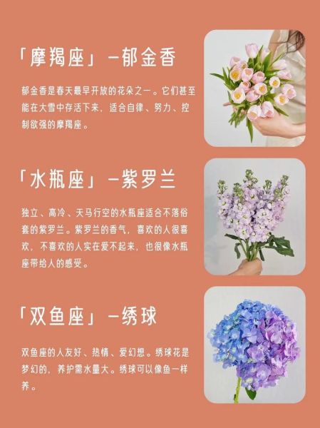 属相月份花语是什么_如何挑选幸运花