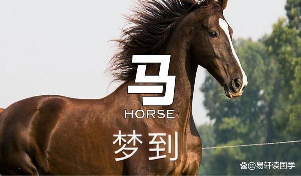 梦到一匹马是什么意思_周公解梦马奔跑