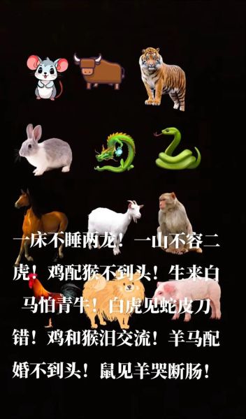 属相无耻是什么意思_属相无耻如何破解