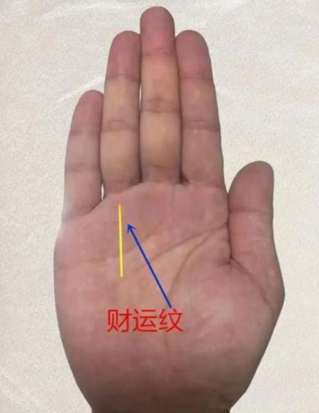 手掌没有财运线怎么办_如何提升偏财运