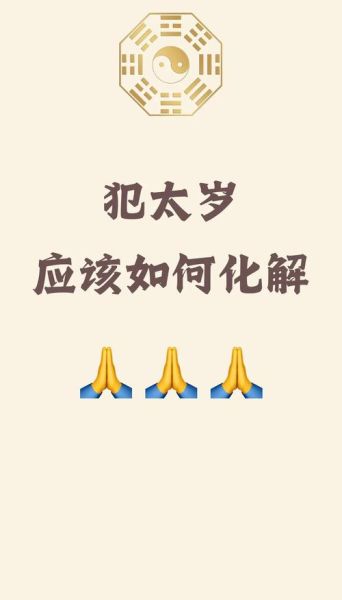 麦玲玲2017年运势详解_2017年犯太岁如何化解