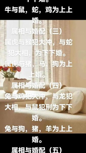 属马和属鼠相冲吗_属马和什么属相不合