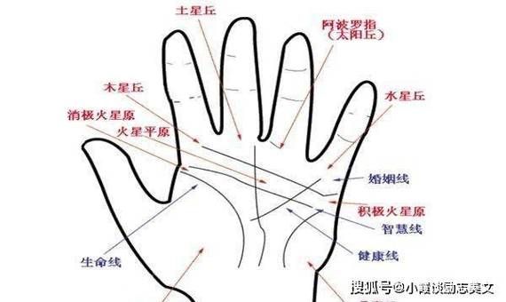 财运线是哪一条_财运线怎么看
