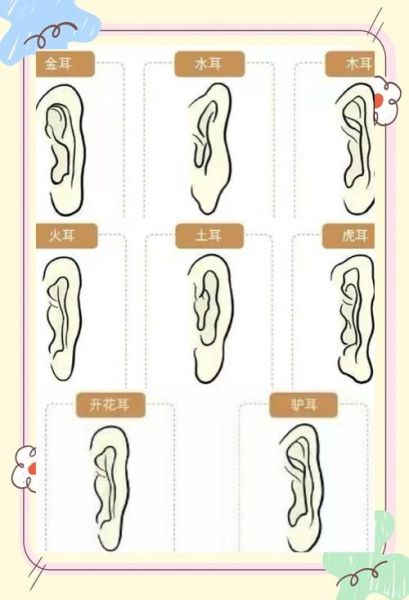 看耳朵财运怎么看_耳朵形状与财富关系