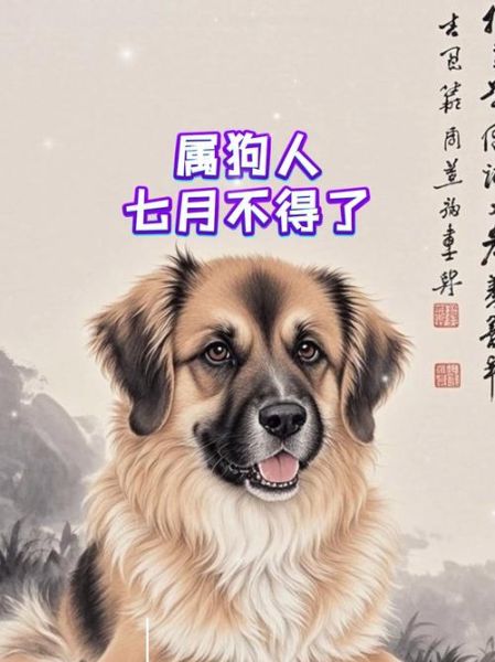 2015年属狗每月运势_2015属狗人全年运程