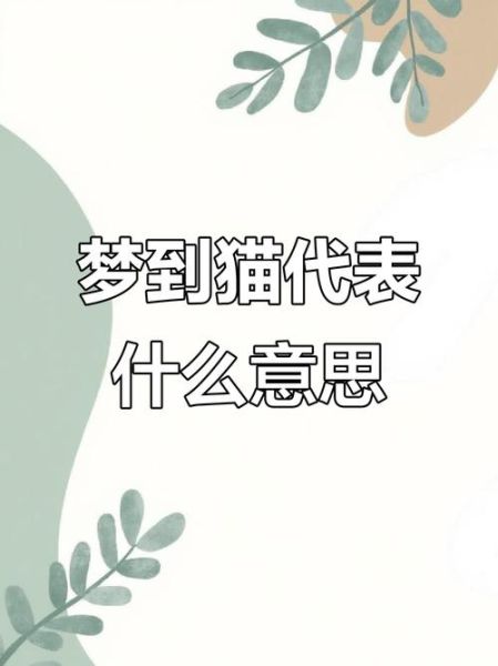 梦到给猫口_是什么意思