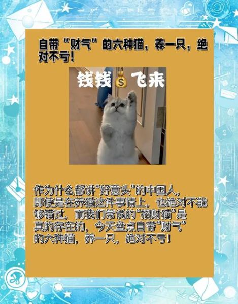 养猫影响财运吗_家里养猫会不会破财