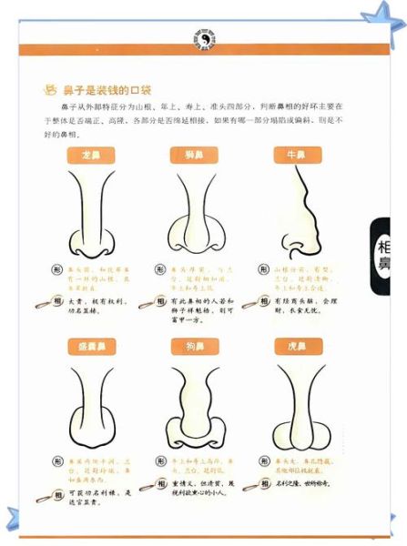 鼻子形状影响财运吗_如何通过鼻子看财富运势