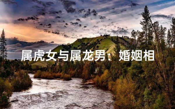 龙和虎属相最配吗_龙男虎女婚姻如何