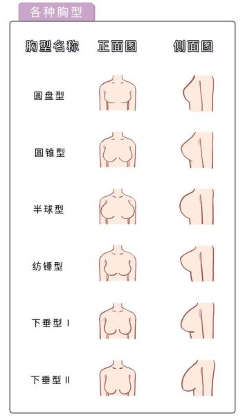 梦到乳房是什么意思_乳房梦境解析