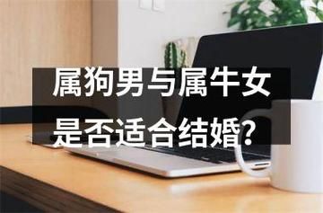 狗男牛女婚姻配对_狗男牛女合不合