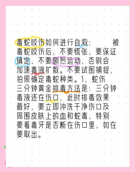 梦到女儿被毒蛇咬中毒_寓意是什么