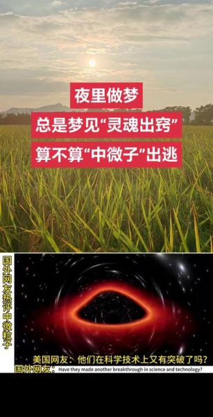 梦到自己灵魂出窍_灵魂出窍是什么意思