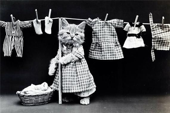 梦到剪衣服有什么寓意_梦见自己剪破衣服好不好