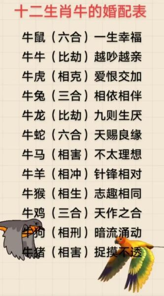 牛属相和什么属相最合_牛属相婚配禁忌有哪些