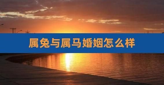 属兔和属马相配吗_婚姻能长久吗