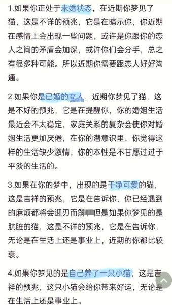 梦到和猫玩是什么意思_梦见猫亲近自己