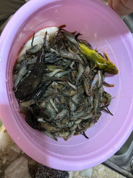 梦到捉到鱼是什么意思_梦见捉鱼好不好