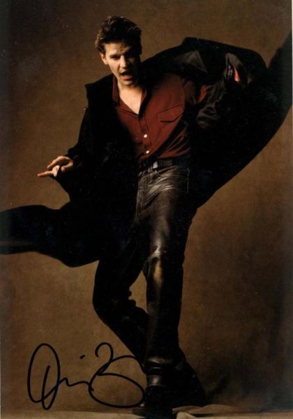 大卫属相是什么_大卫生肖性格特点