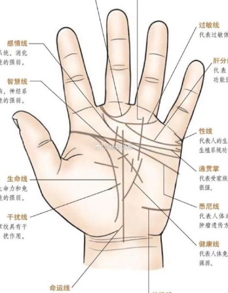 财运看哪里_手相面相哪个更准