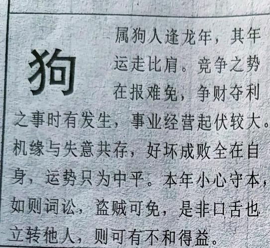 属狗2024年9月运势_属狗九月财运如何