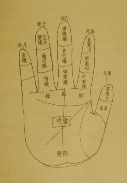 财运主要看哪里_面相手相哪个更准