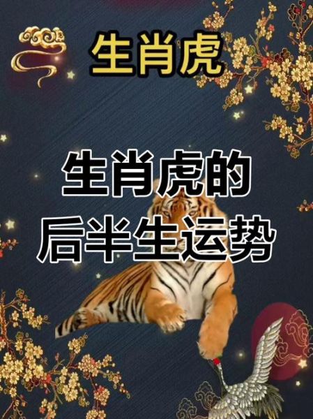 1986年属虎2019年运势如何_2019年属虎人财运怎么样