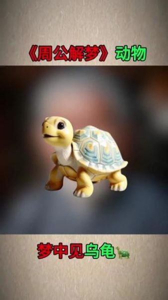 梦到很多小乌龟是什么意思_周公解梦与心理暗示