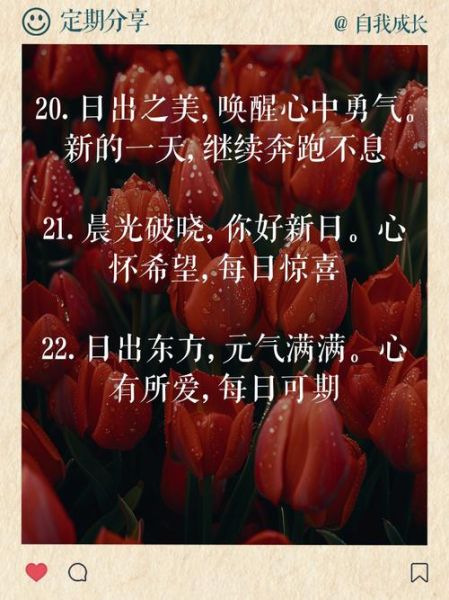 今日日出运势_如何提升清晨能量