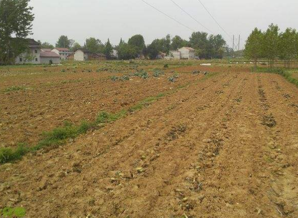 梦到旱地是什么意思_梦见旱地预示什么