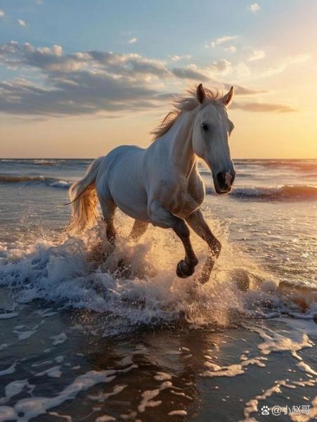 属马双子座2018运势如何_属马双子2018年财运怎样