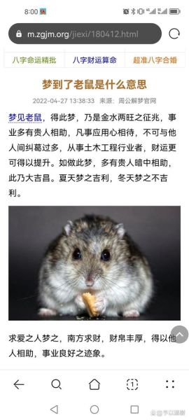 梦到老鼠成精_梦见老鼠会说话预示什么