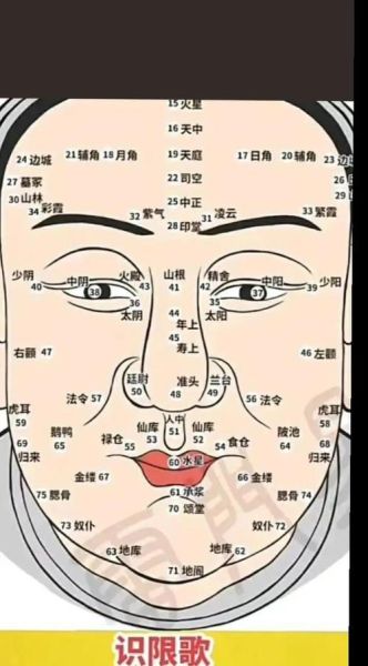 燕眼性格运势_燕眼面相吉凶如何