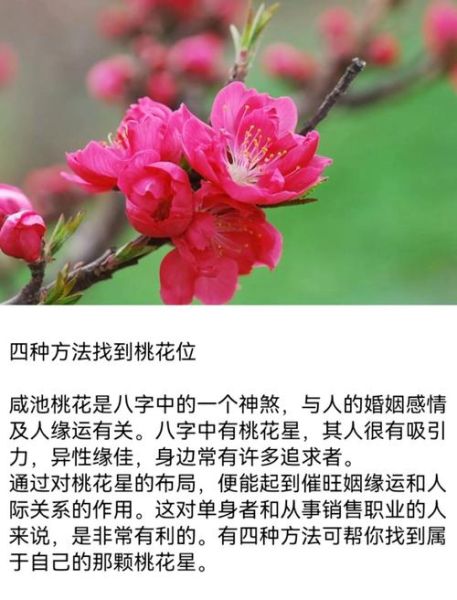 桃花运会影响财运吗_如何提升桃花与财富双旺