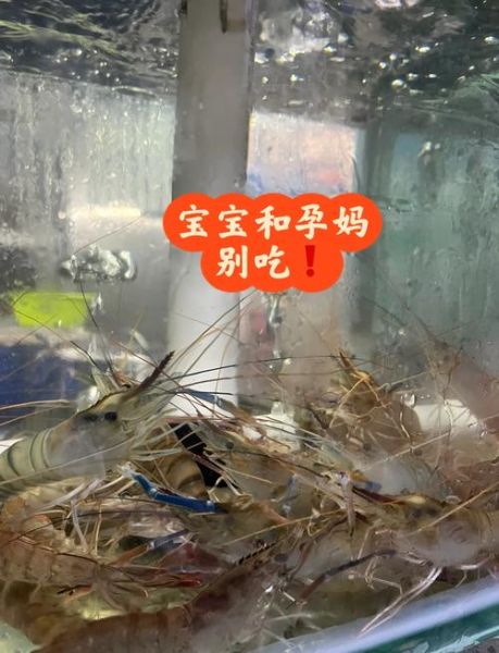 孕妇梦到鱼和虾是什么意思_孕妇梦见鱼虾生男生女