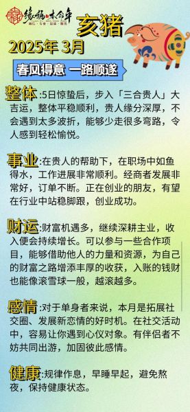 属猪双子座2024运势详解_如何化解感情与事业双重波动
