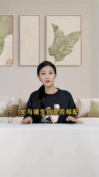 属蛇和属猪合不合_如何相处更长久