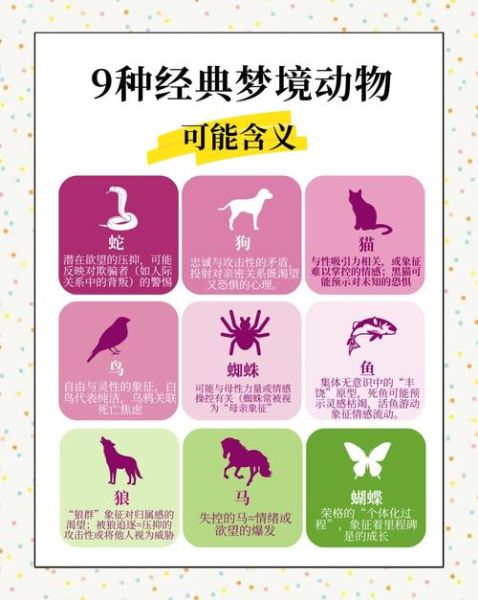 梦到蛇和猫是什么意思_梦到蛇和猫哪个更凶