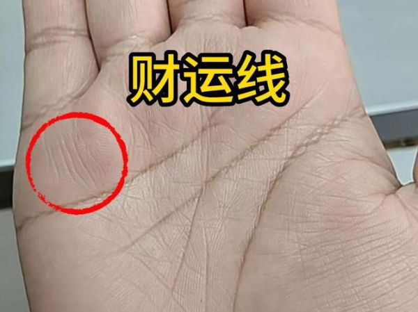 财运线开叉代表什么_财运线分叉图解