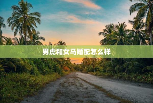 属虎和属马合不合_属相虎马配对婚姻如何