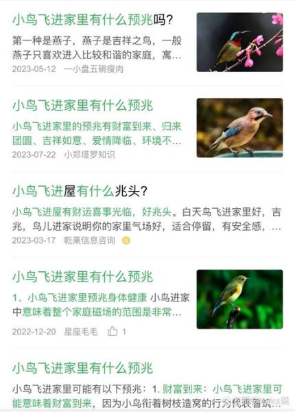 梦到鸟是什么意思_梦见鸟飞进家里好不好